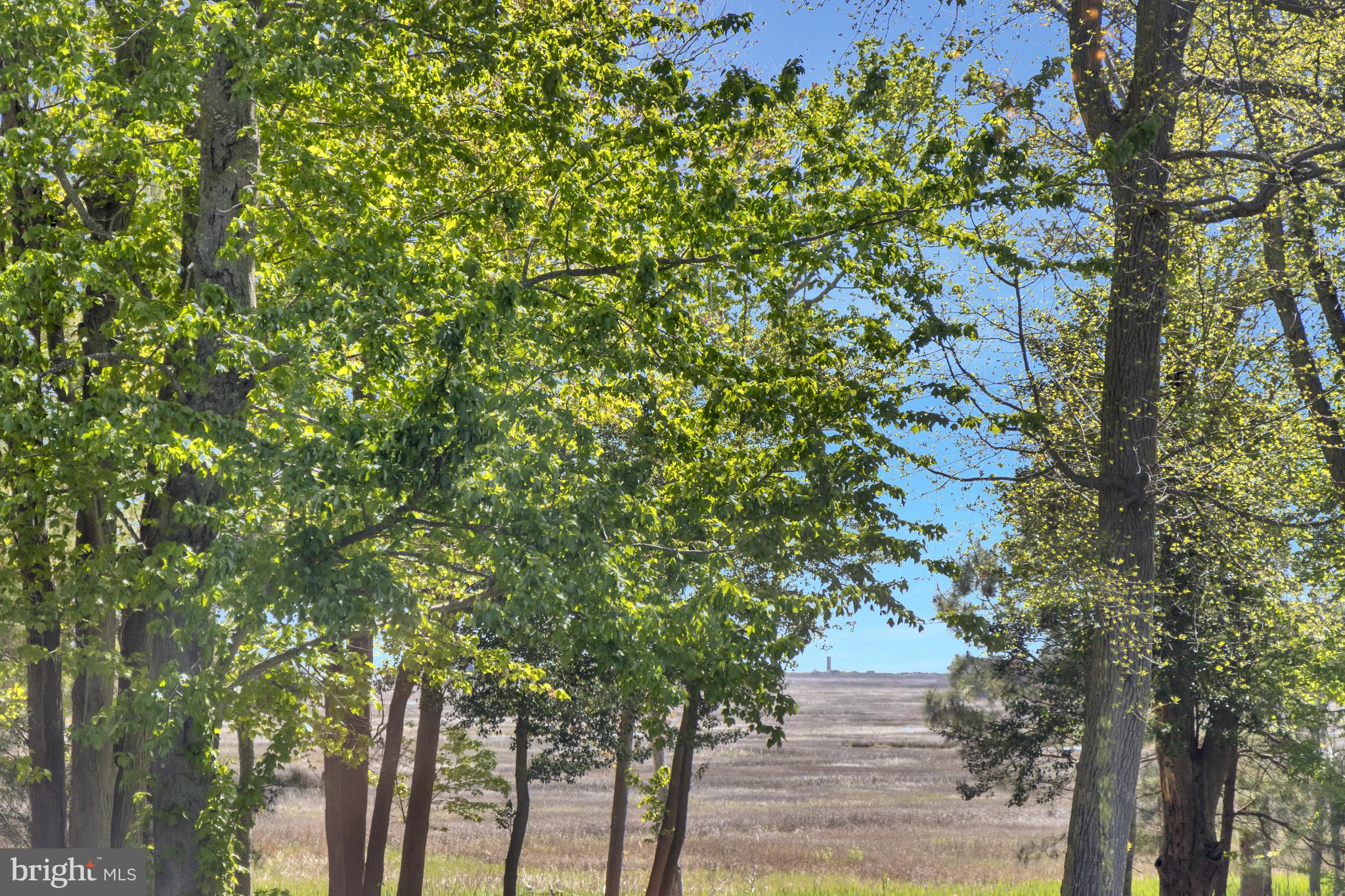 WOLFE POINTE - Residential