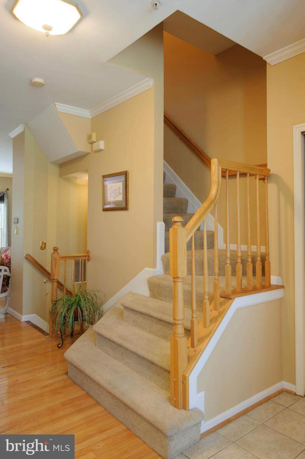 TIDEWATER COLONY - Residential