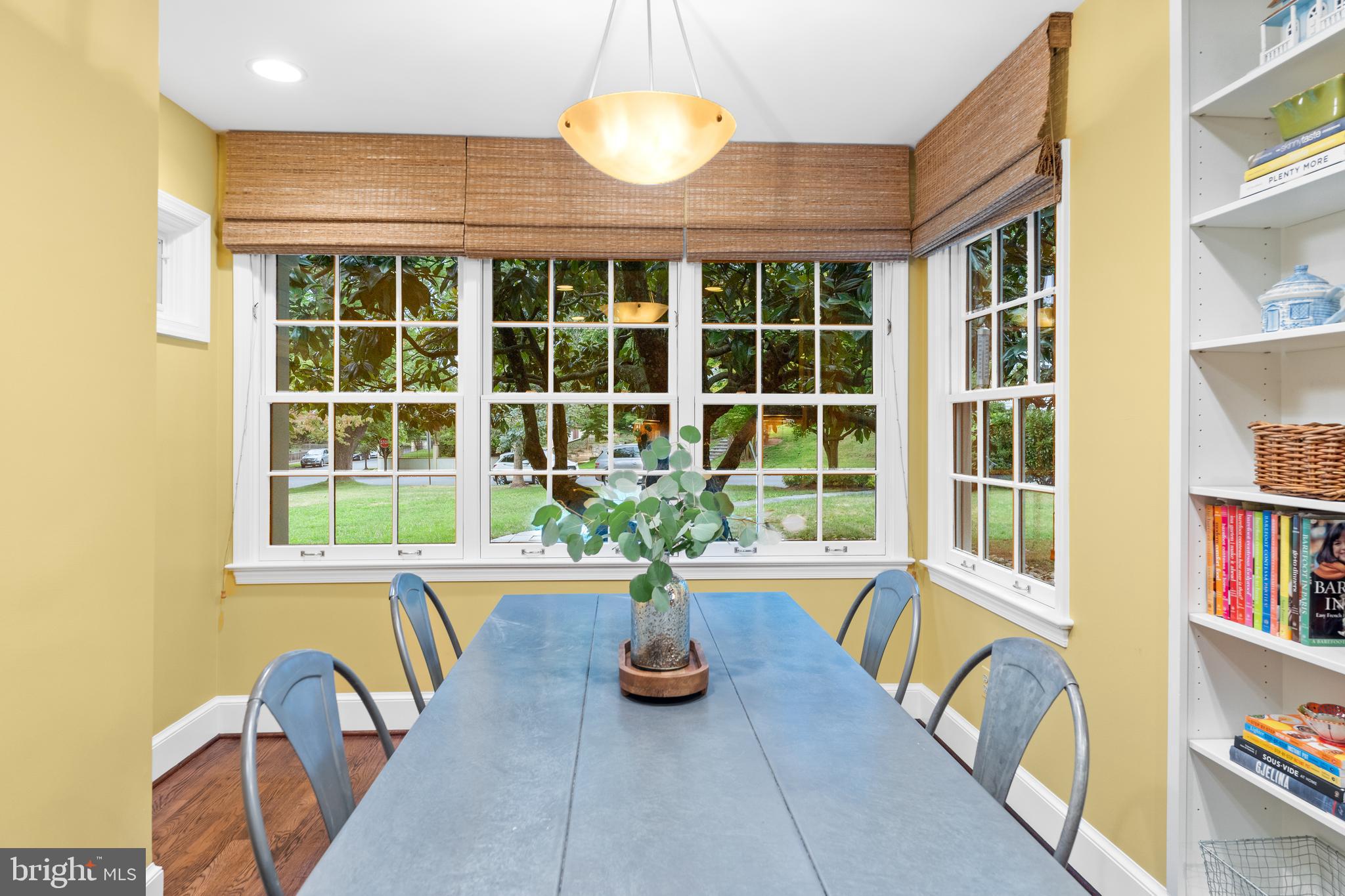 CHEVY CHASE VILLAGE - Residential