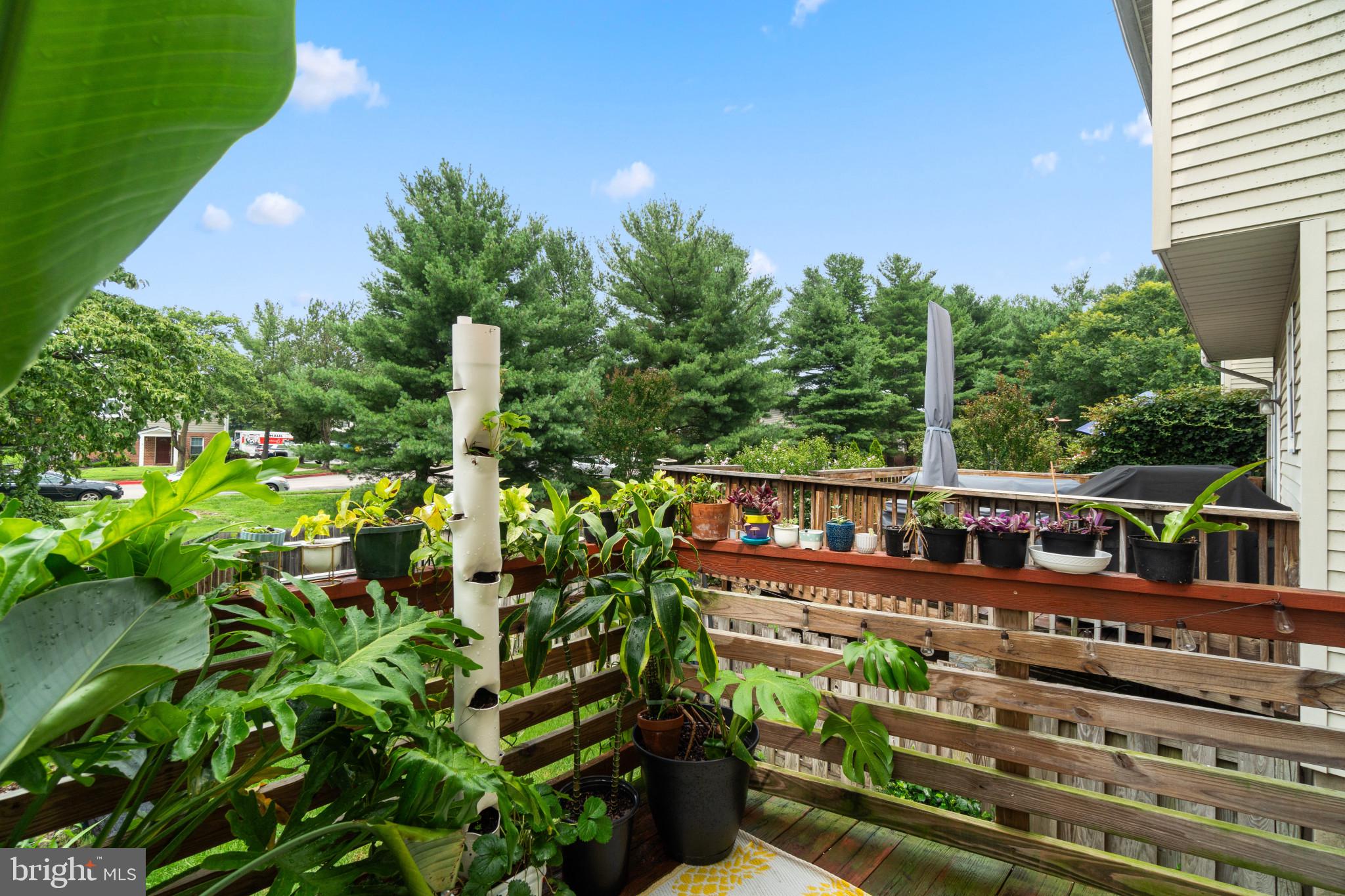 MILLRACE - Residential