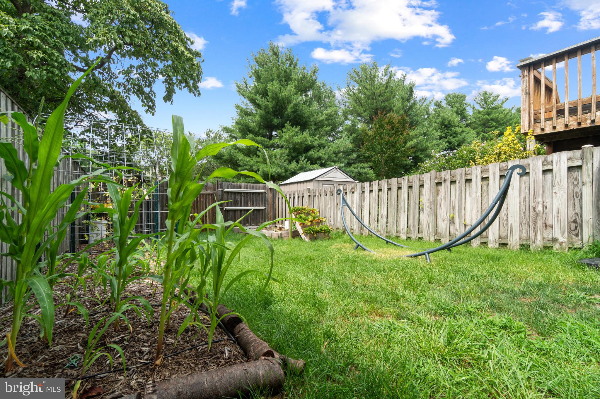 MILLRACE - Residential