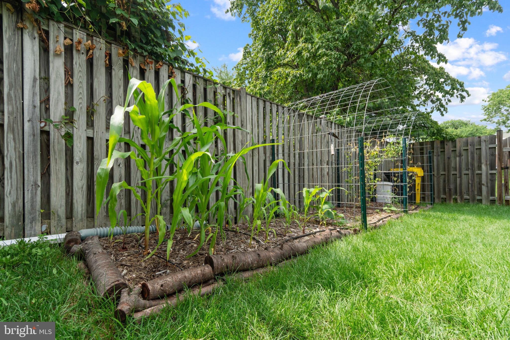 MILLRACE - Residential