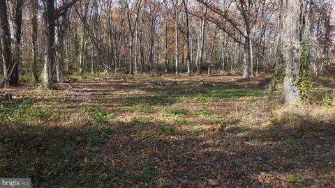Vacant Land For Sale - 280 Gould Avenue<br/> Cumberland County, BRIDGETON, NJ 08302