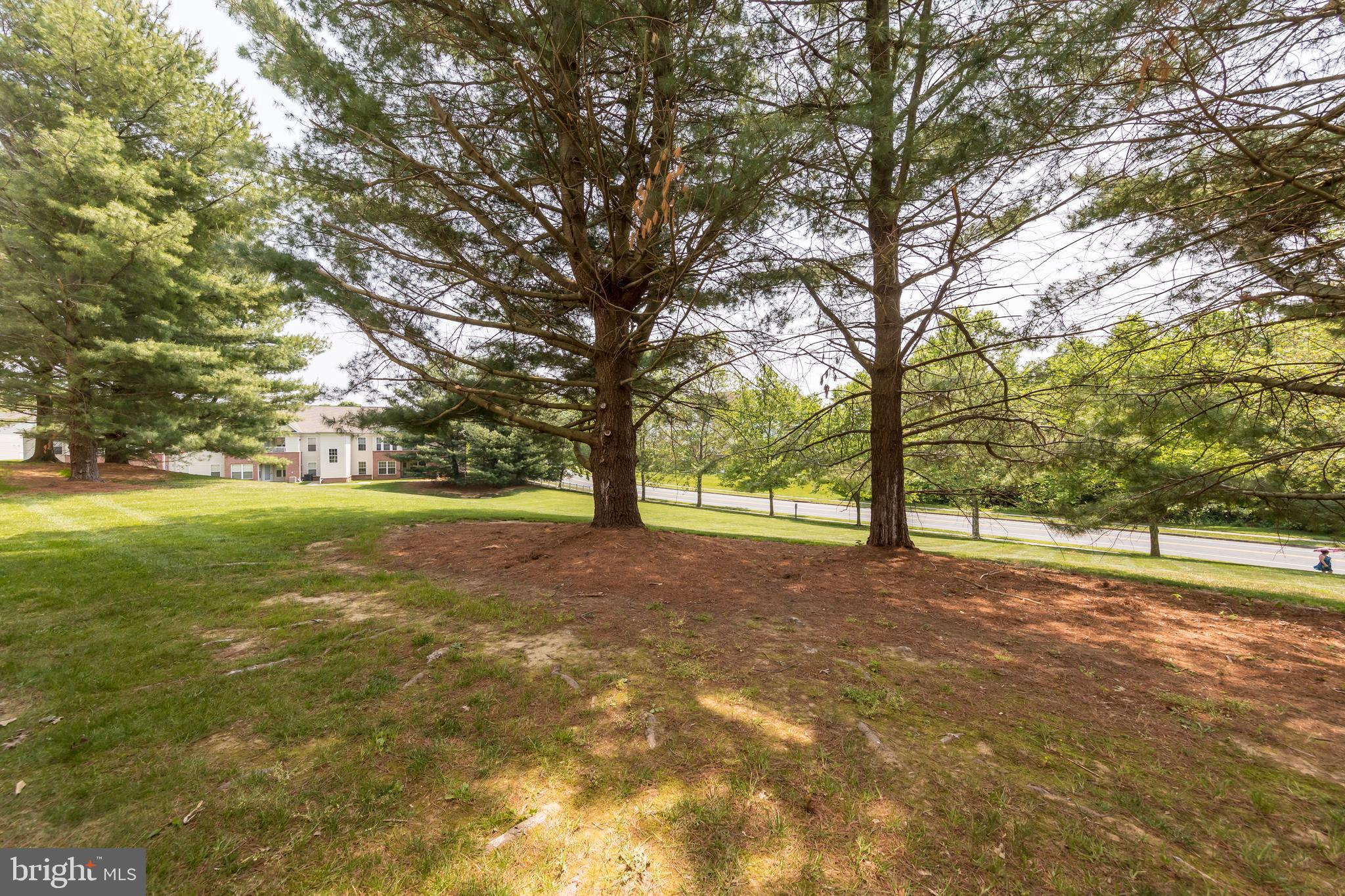 TAYLOR RIDGE CONDOMINIUMS - Residential Lease