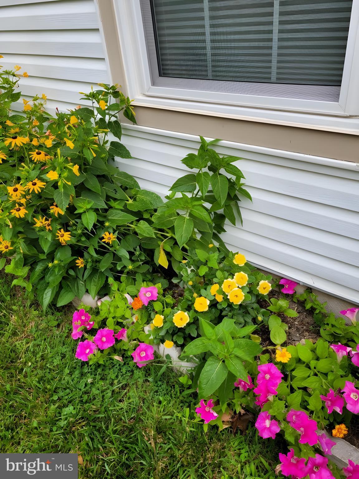 ENGLISH COUNTRY MANOR - Residential