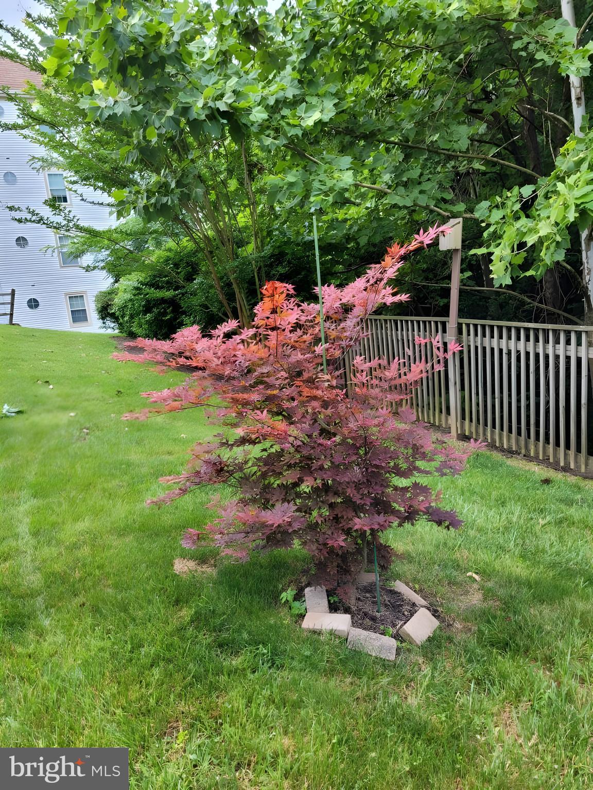 ENGLISH COUNTRY MANOR - Residential