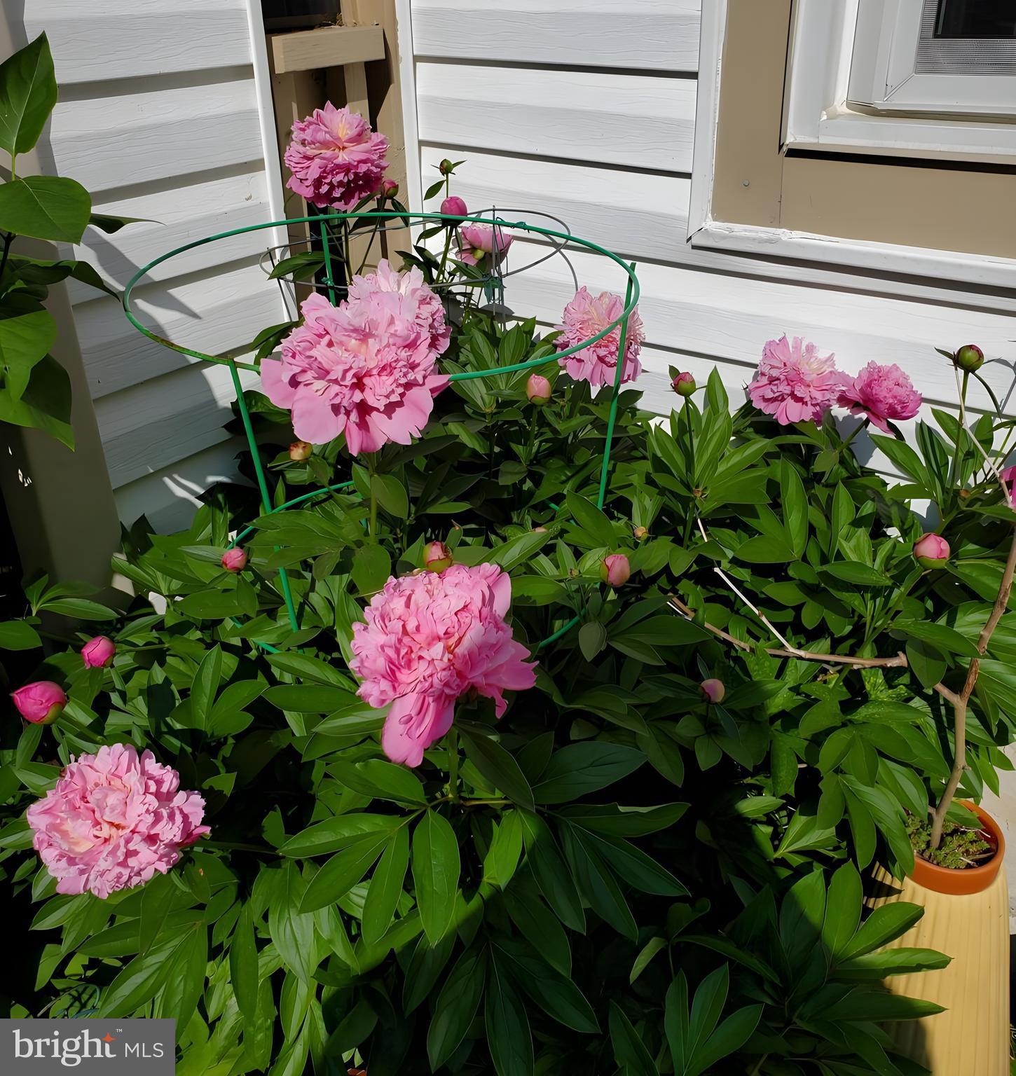 ENGLISH COUNTRY MANOR - Residential