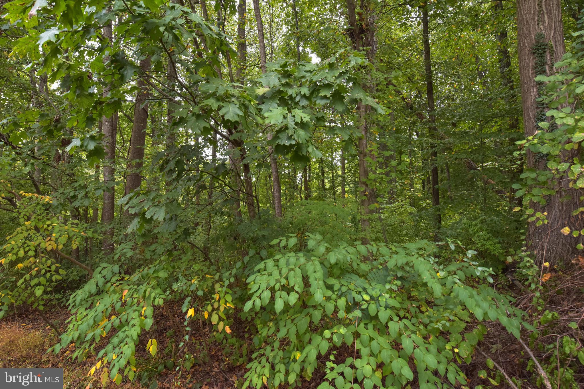 CARDINAL GLEN - Residential