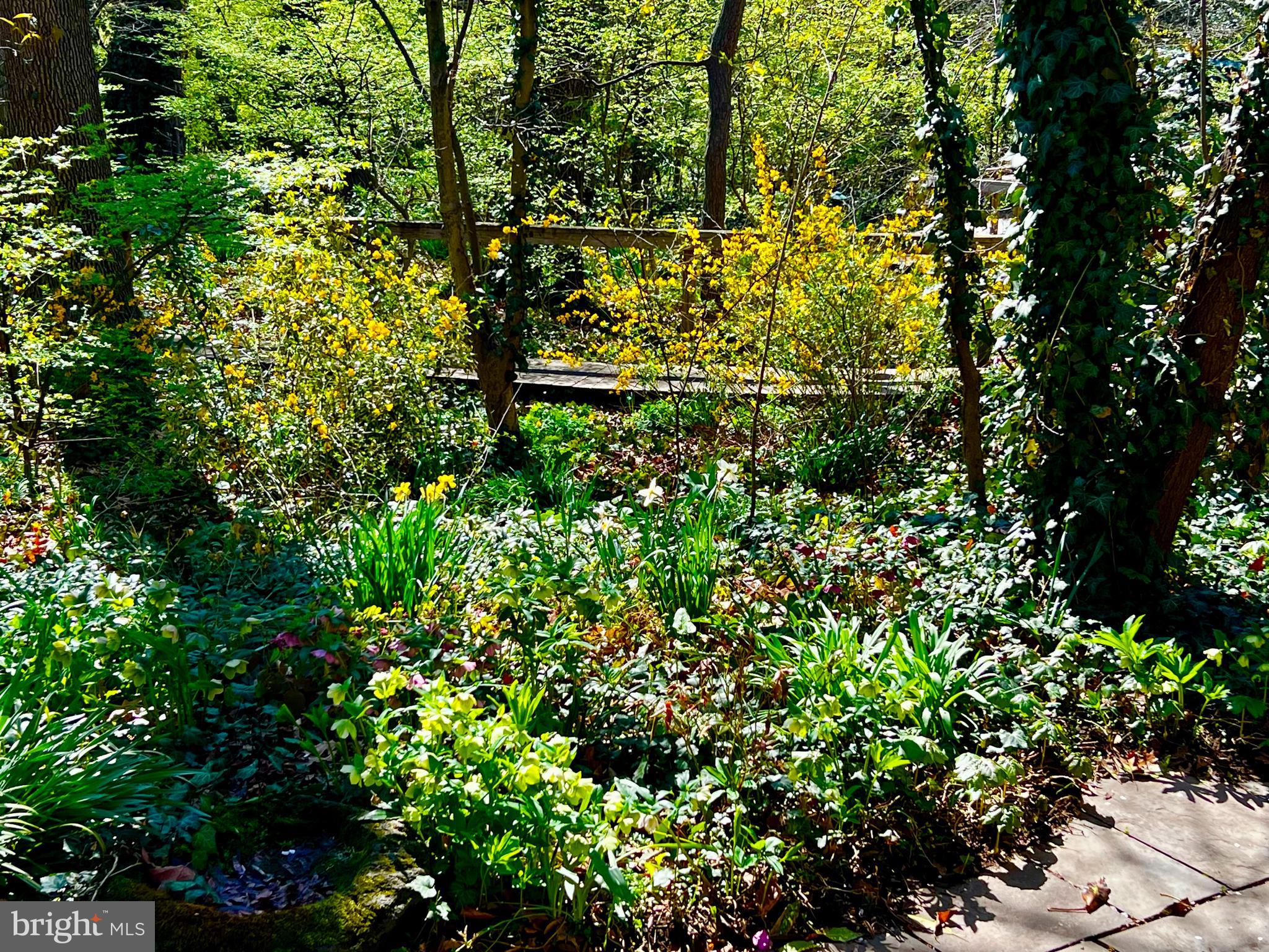 MT AIRY (WEST) - Residential