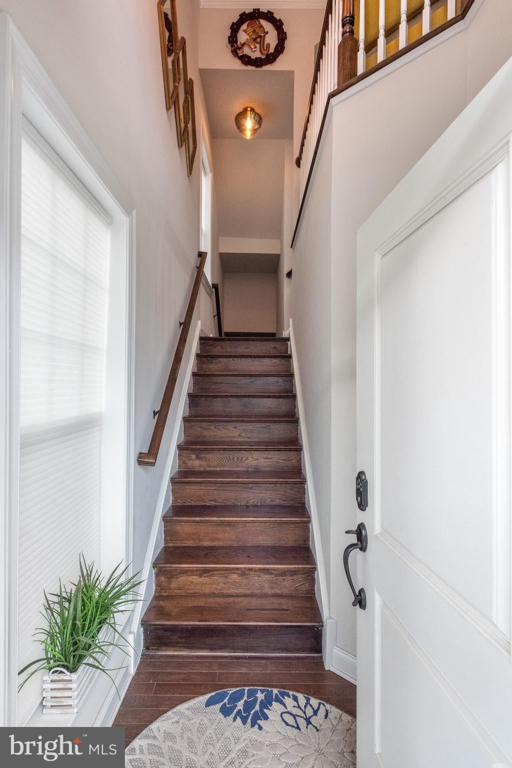 57 LILA LANE
