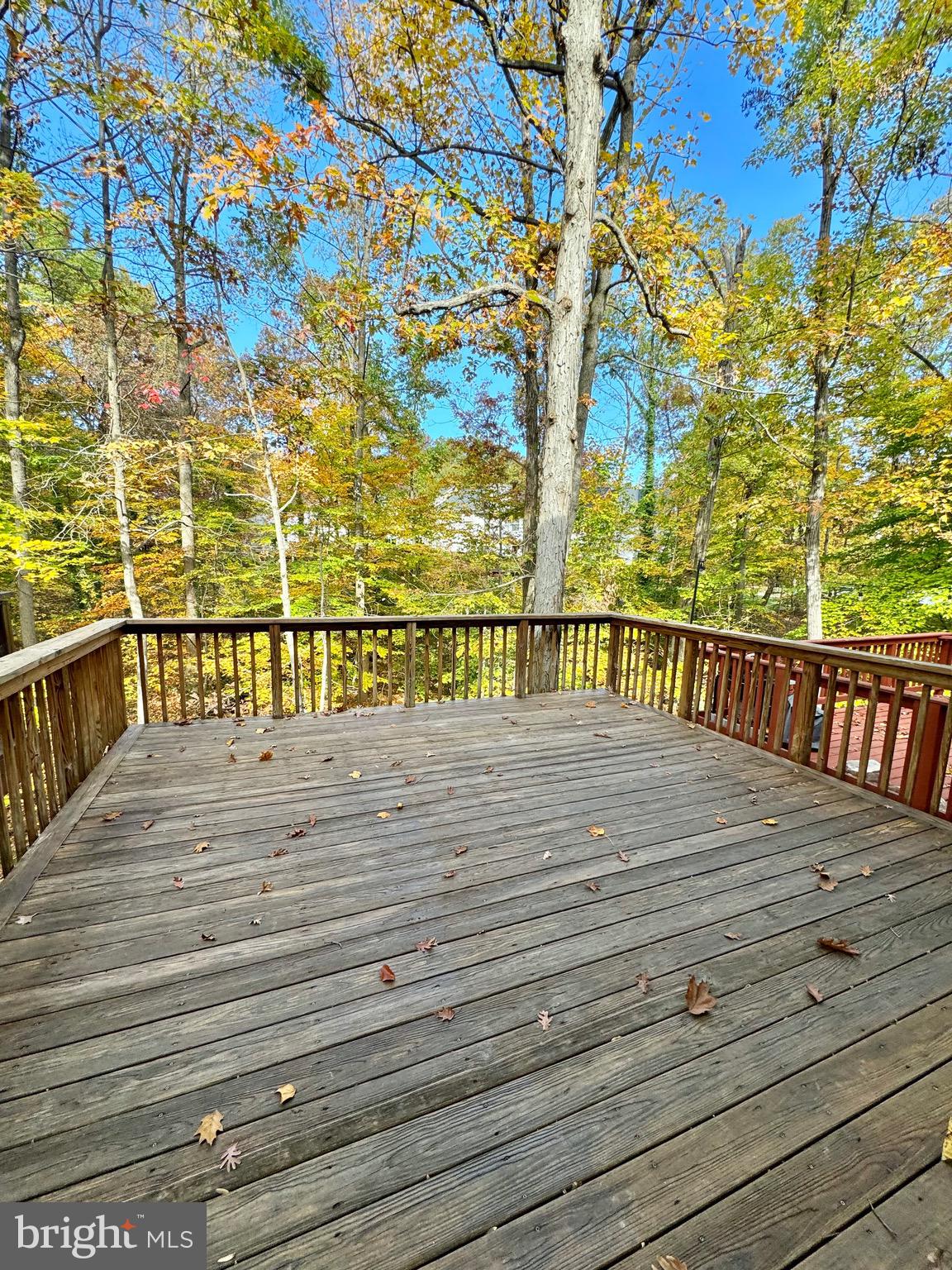 RIVERCHASE - Residential Lease