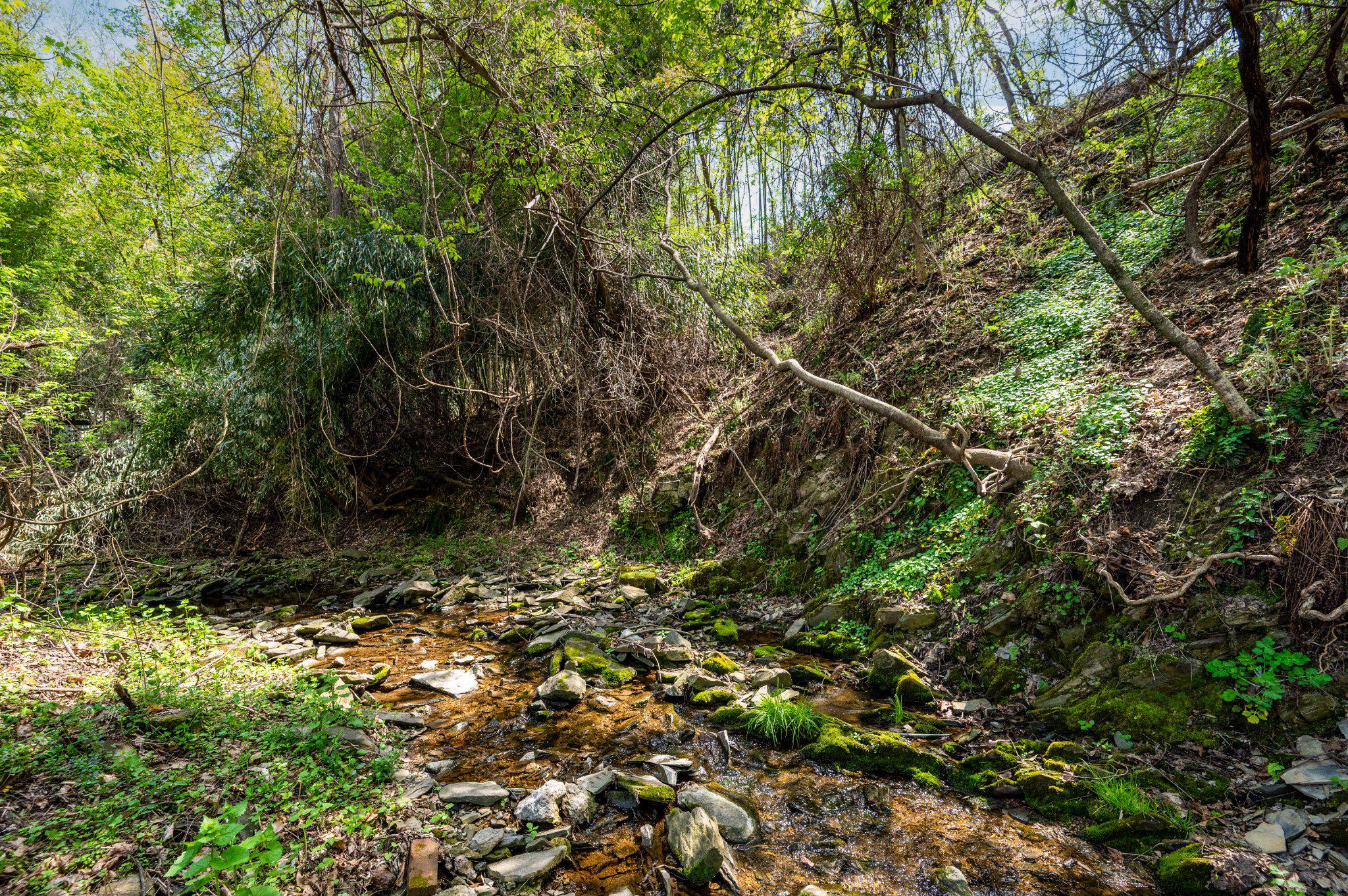 HARRISBURG - Residential