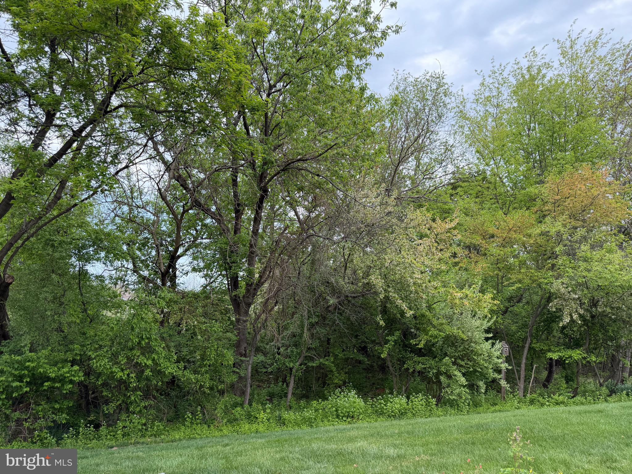 VILLAGE AT ROSECLIFF - Residential