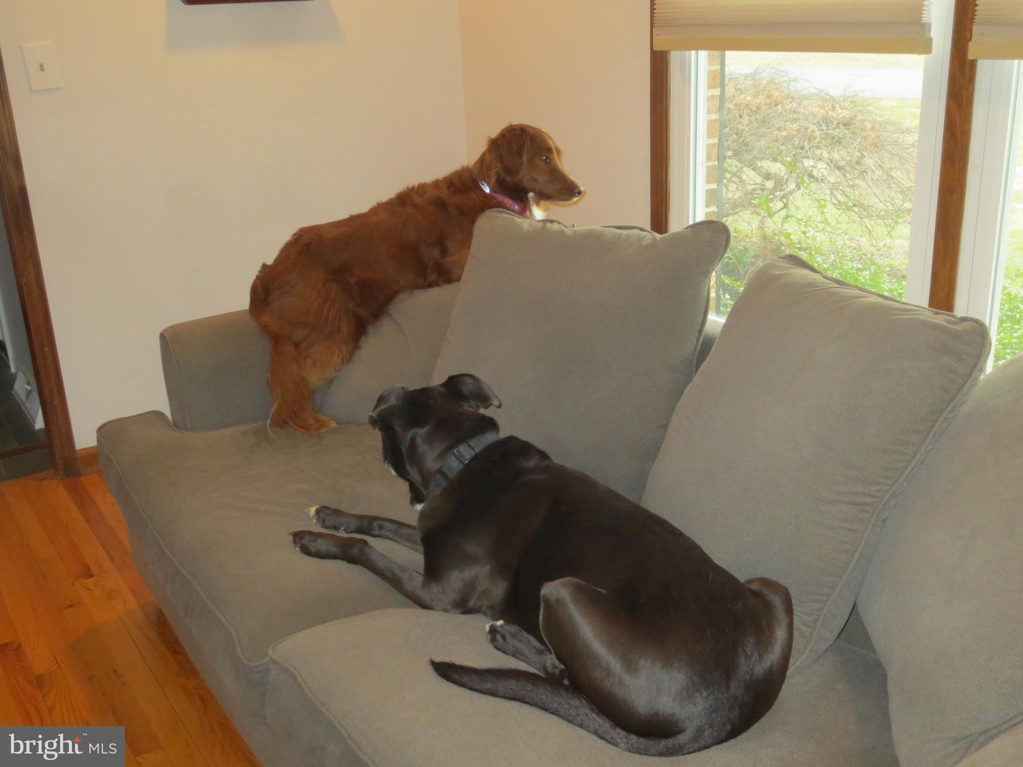 HICKORY WOODS - Residential