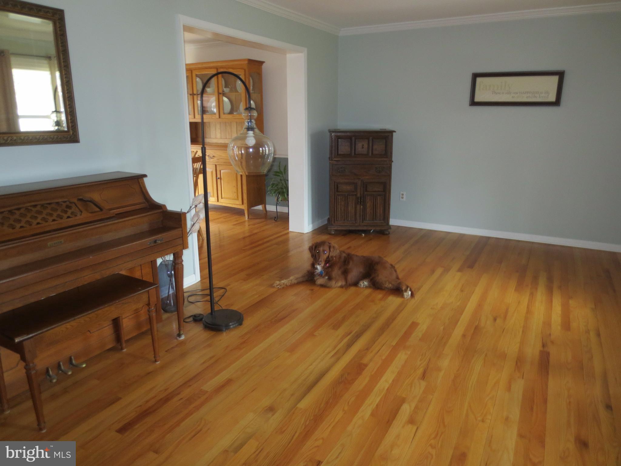 HICKORY WOODS - Residential