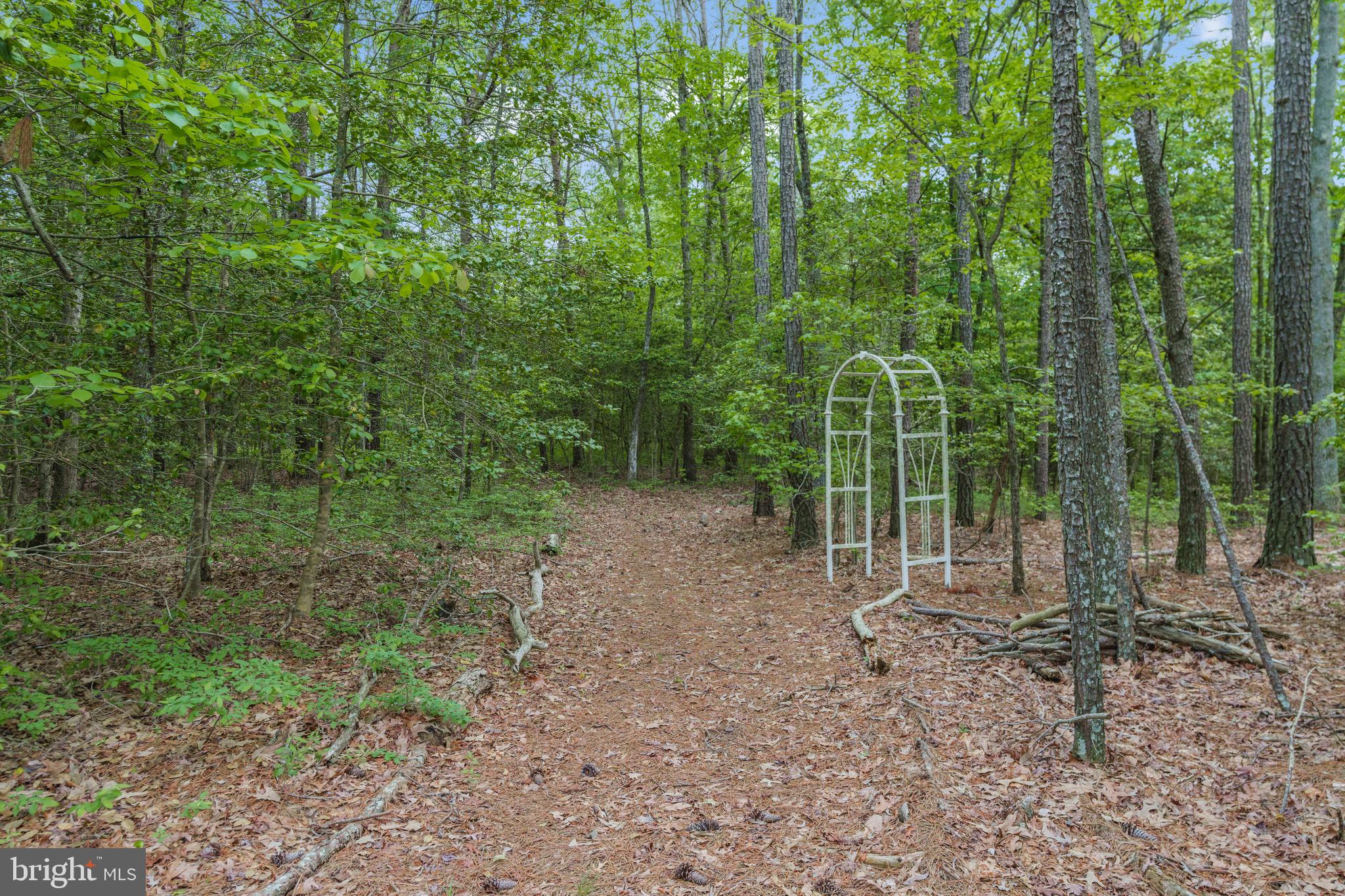 BUSSLER - Residential