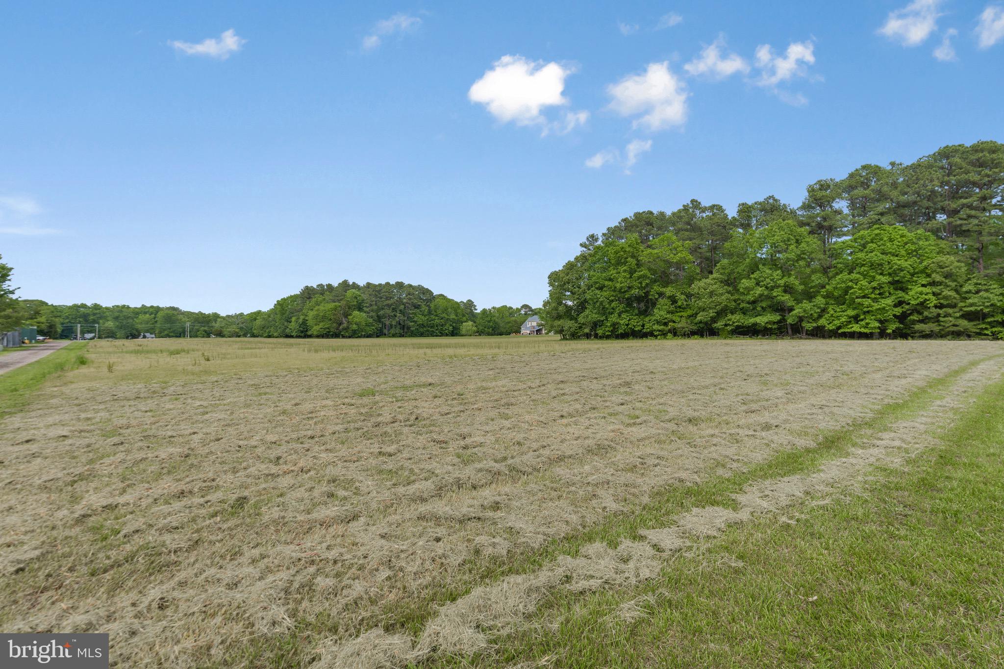 21549 POINT LOOKOUT
