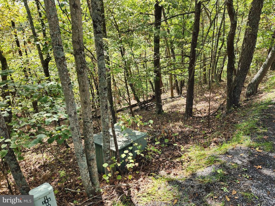 This .317 Acre Lot is very buildable and easy to find.  A circular driveway can take you to the front door "no step entry" and the  next door house is 256 Johnston Street in the much sought after General's Section of Bryce Mt with all of the Resorts activity just down the hill. If you are planning to build, this lot is a must see.