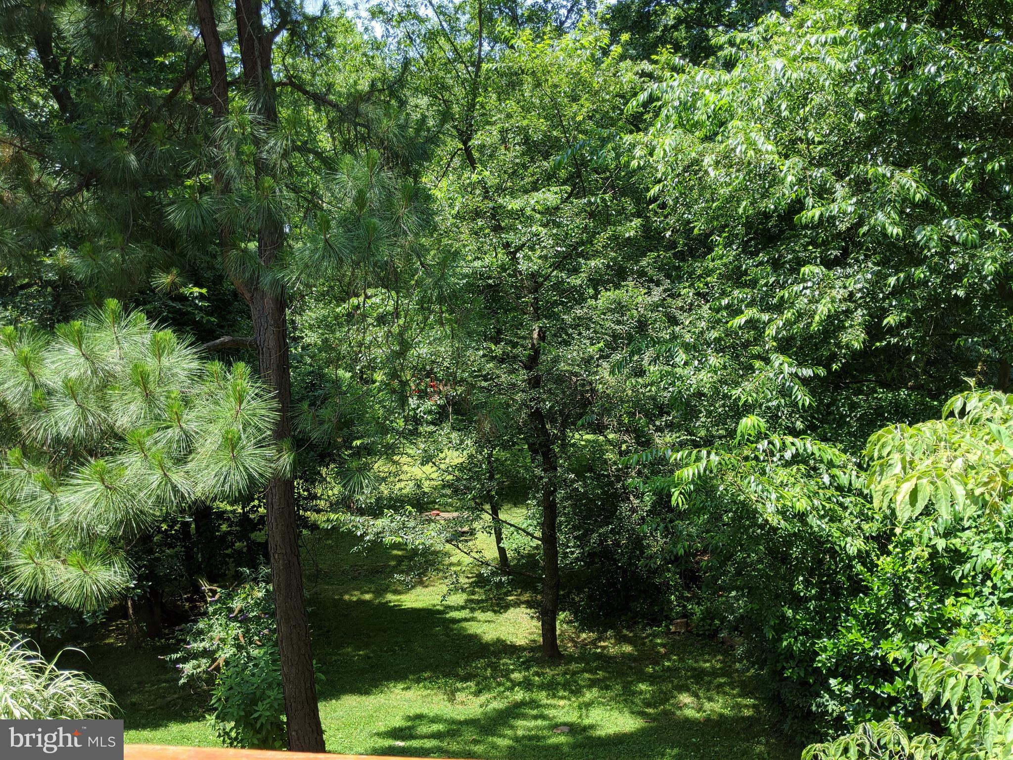 VIENNA WOODS - Residential
