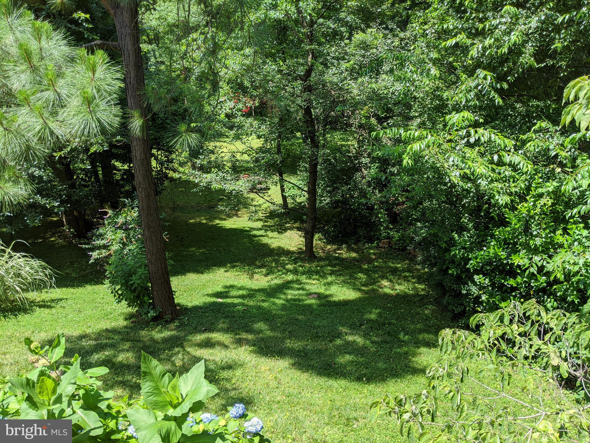 VIENNA WOODS - Residential