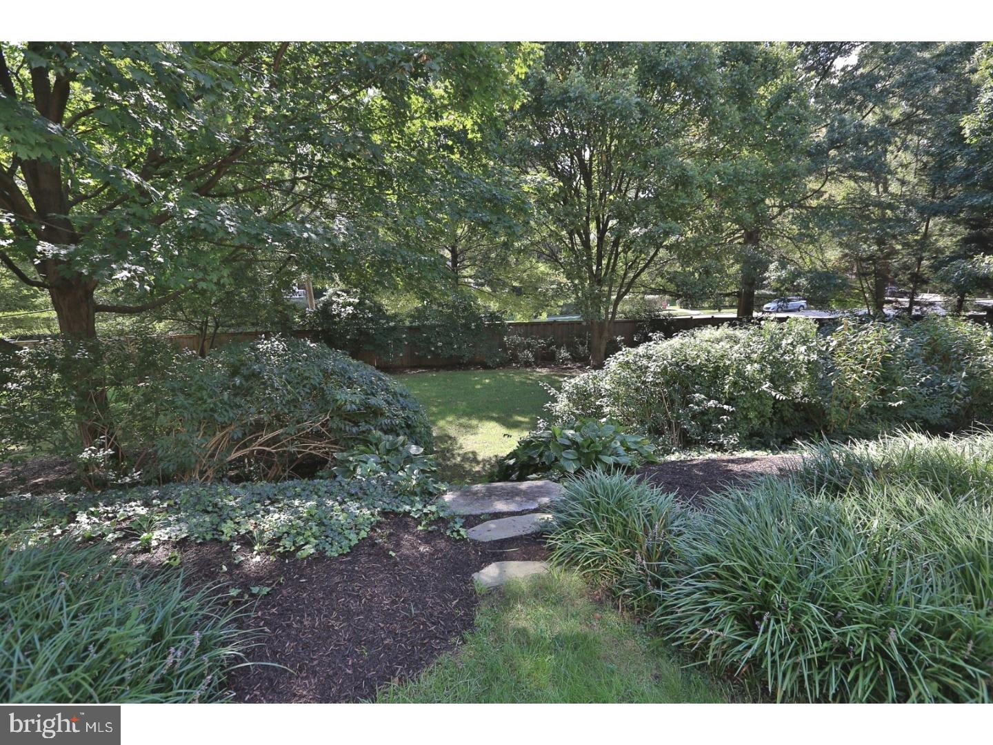 CHESTNUT HILL - Residential