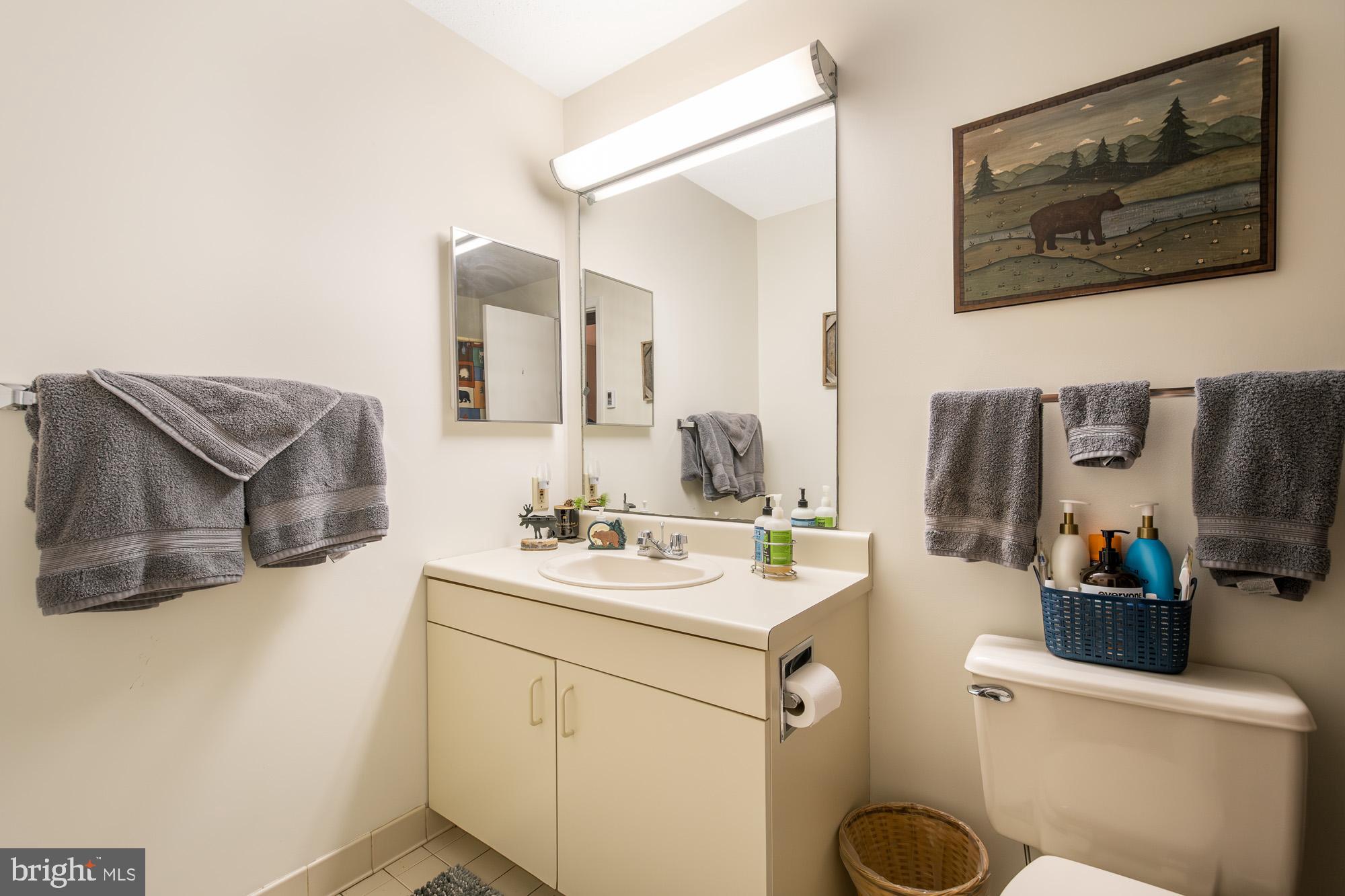 VILLAGES OF WISP - Residential