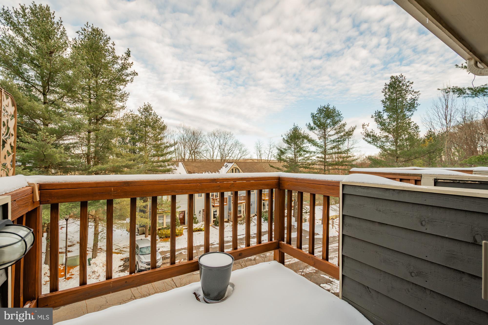 VILLAGES OF WISP - Residential