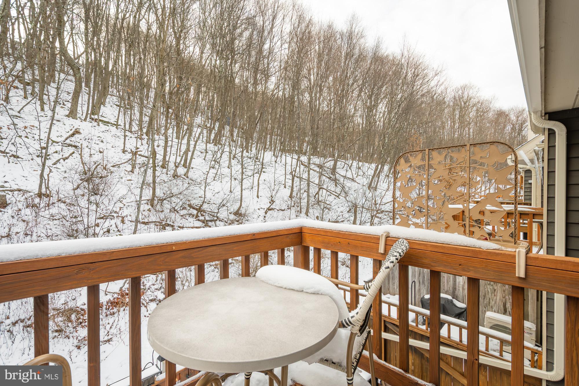 VILLAGES OF WISP - Residential