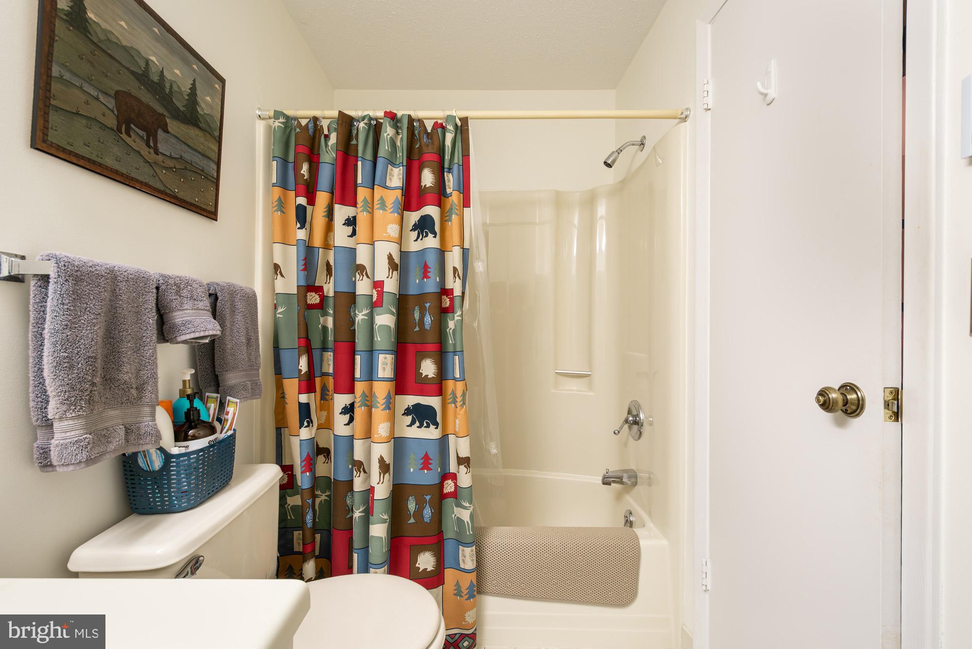 VILLAGES OF WISP - Residential