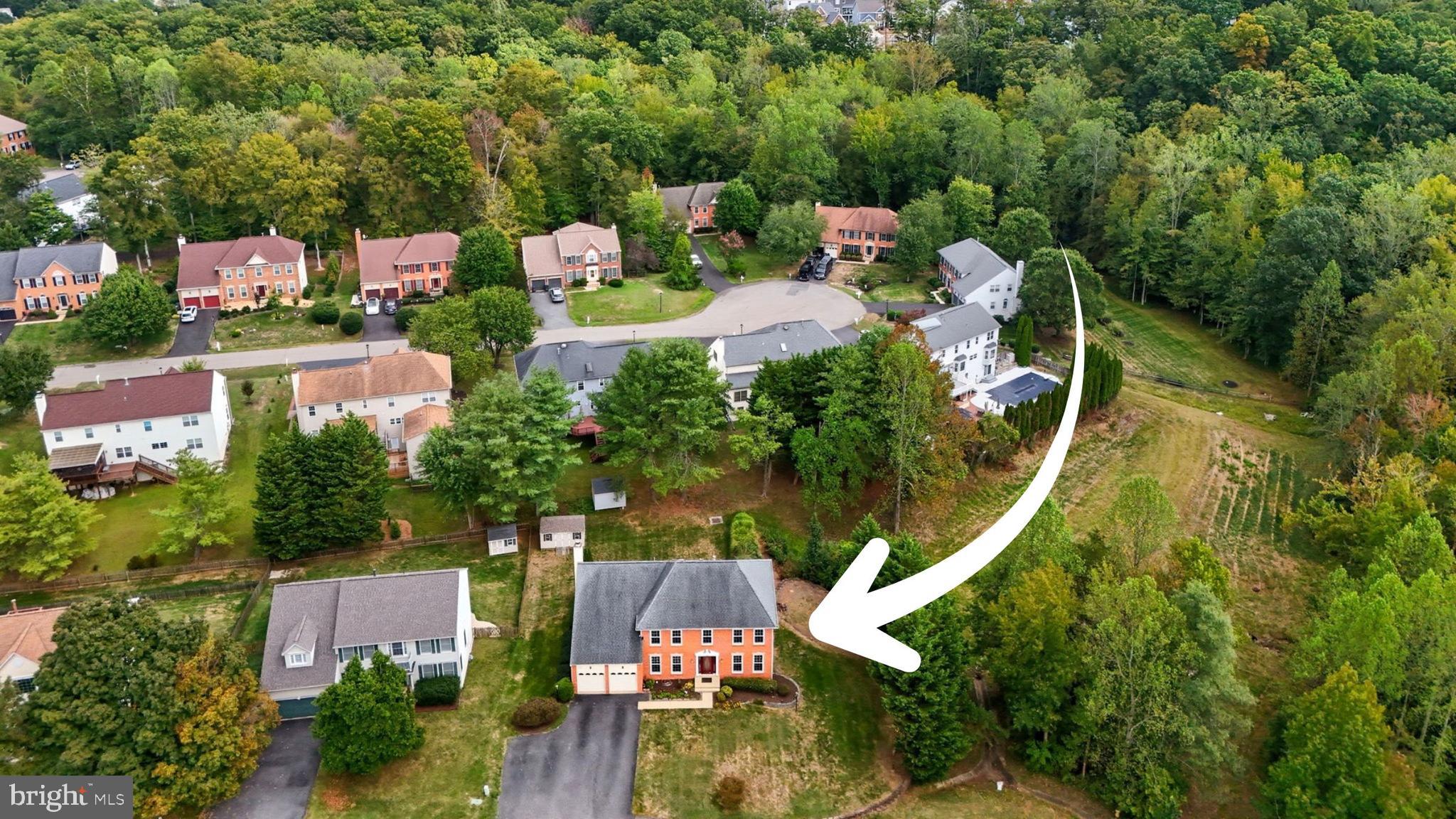 365 EUSTACE ROAD