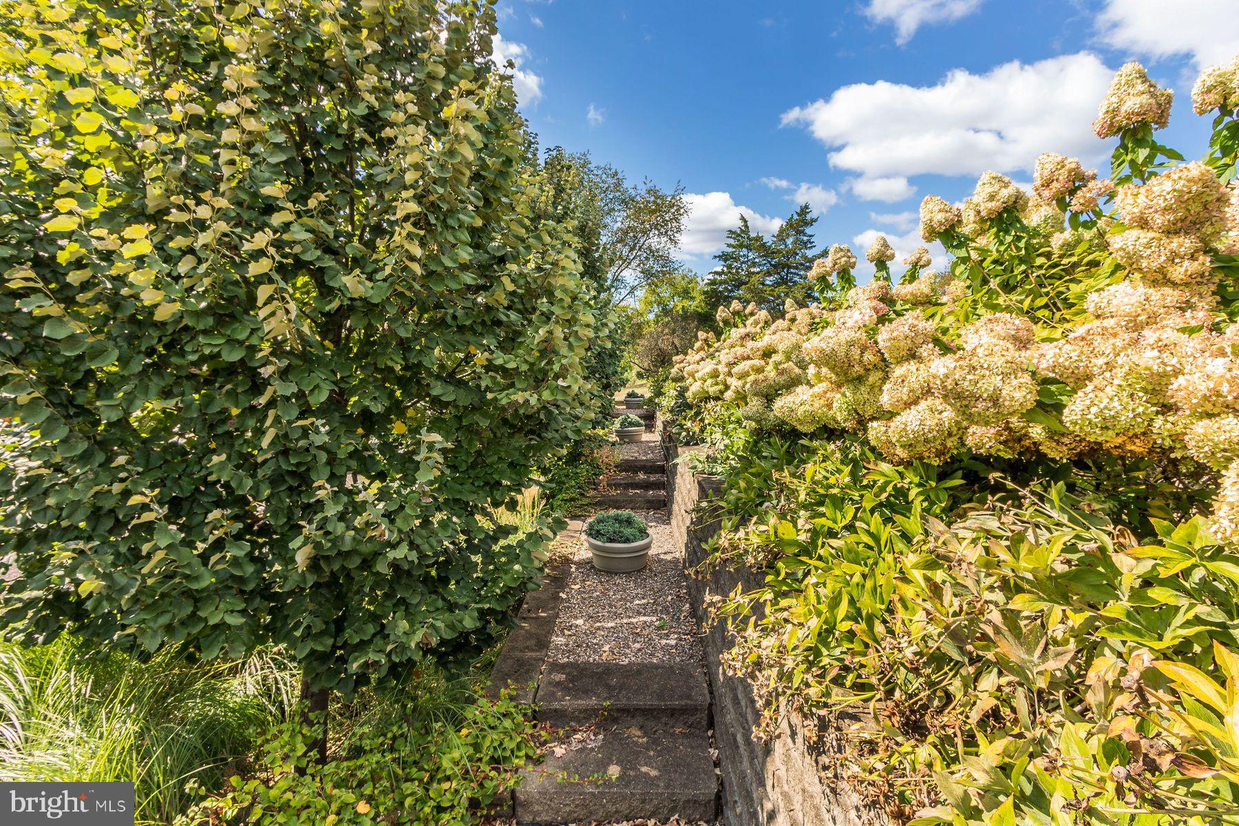 BEDMINSTER - Residential