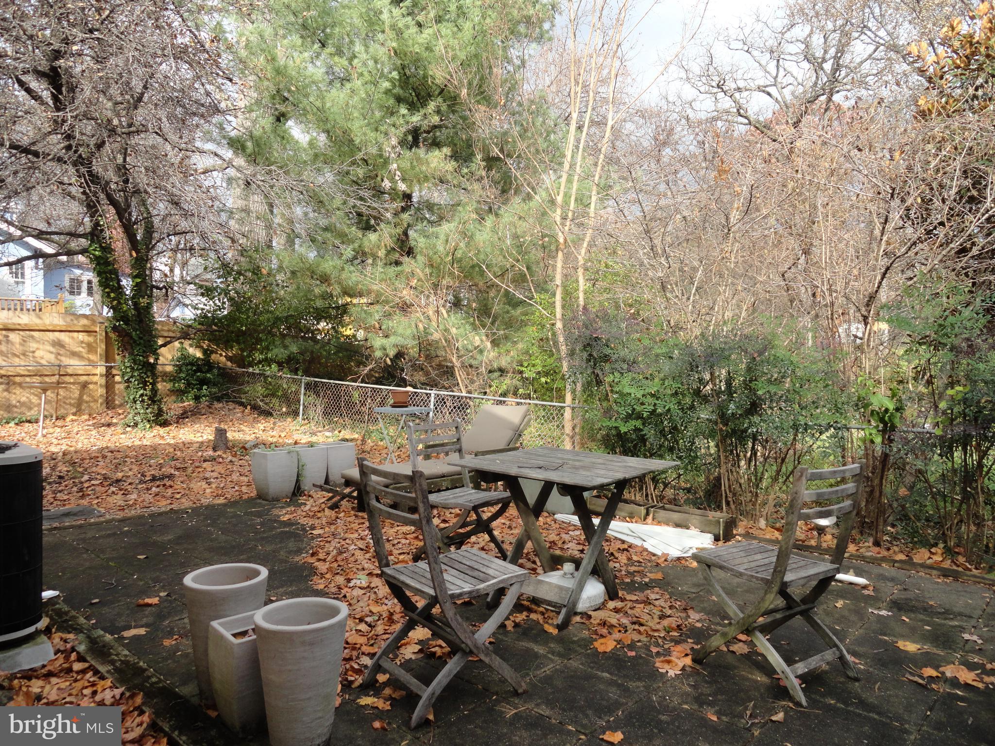 TAKOMA PARK - Residential Lease