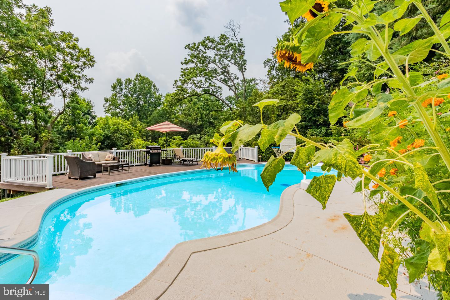 NEWTOWN HUNT - Residential