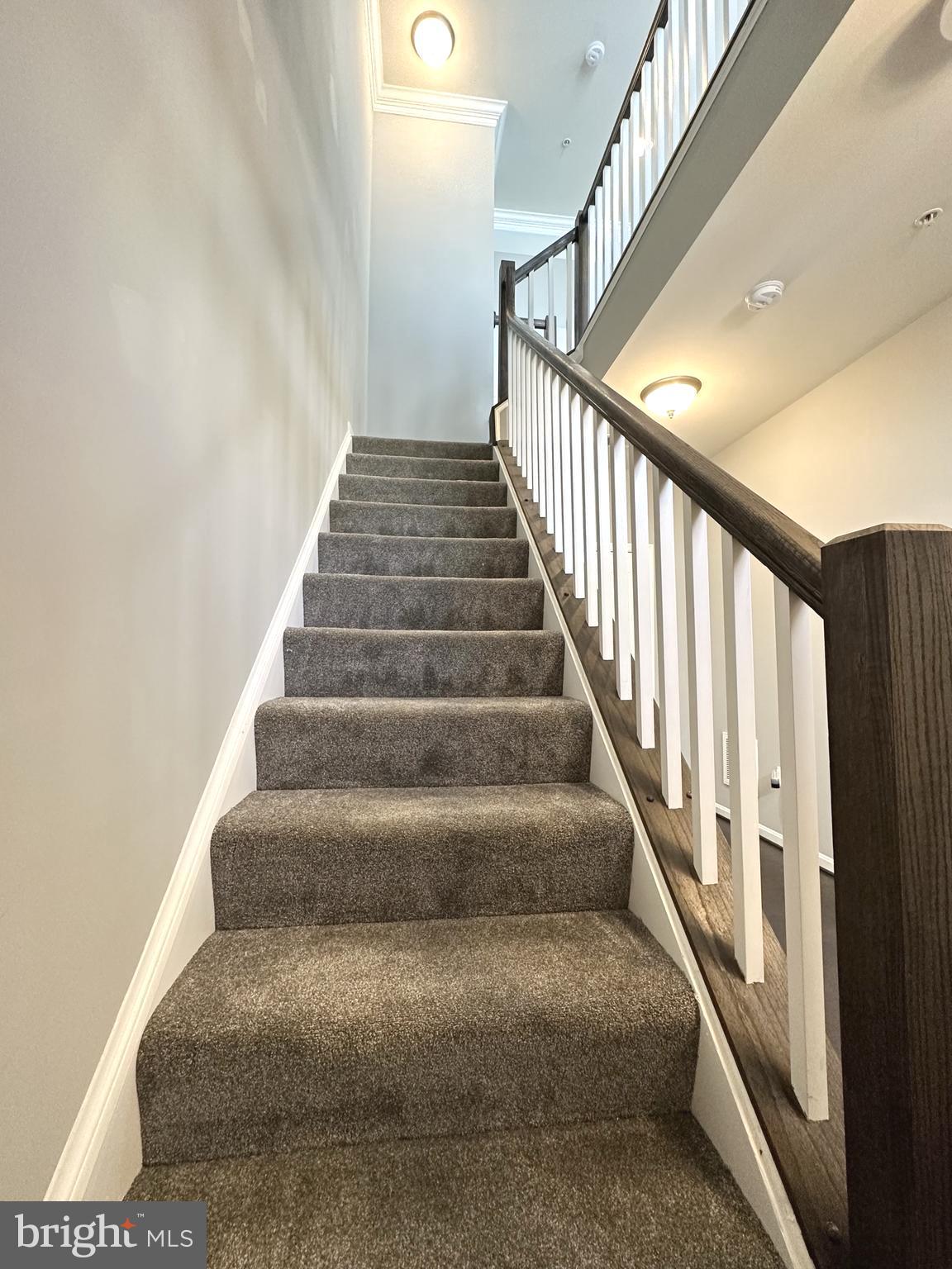 THE VILLAGES OF STEEPLECHASE - Residential Lease