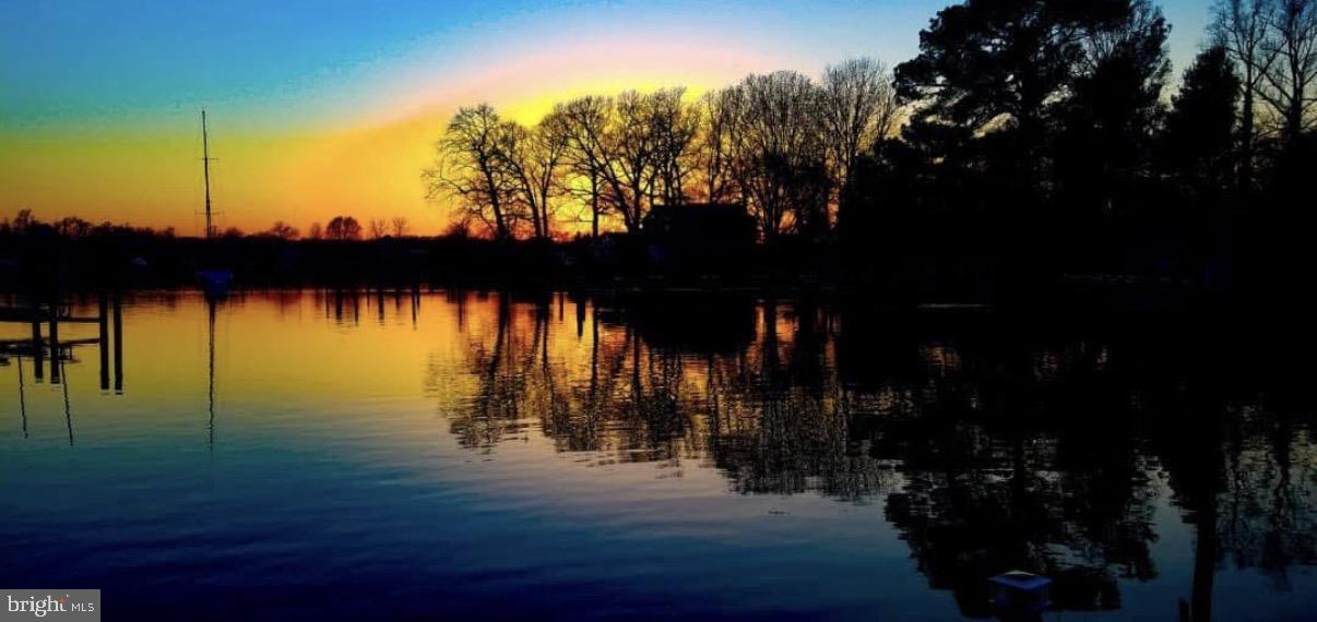 WILSON POINT - Residential