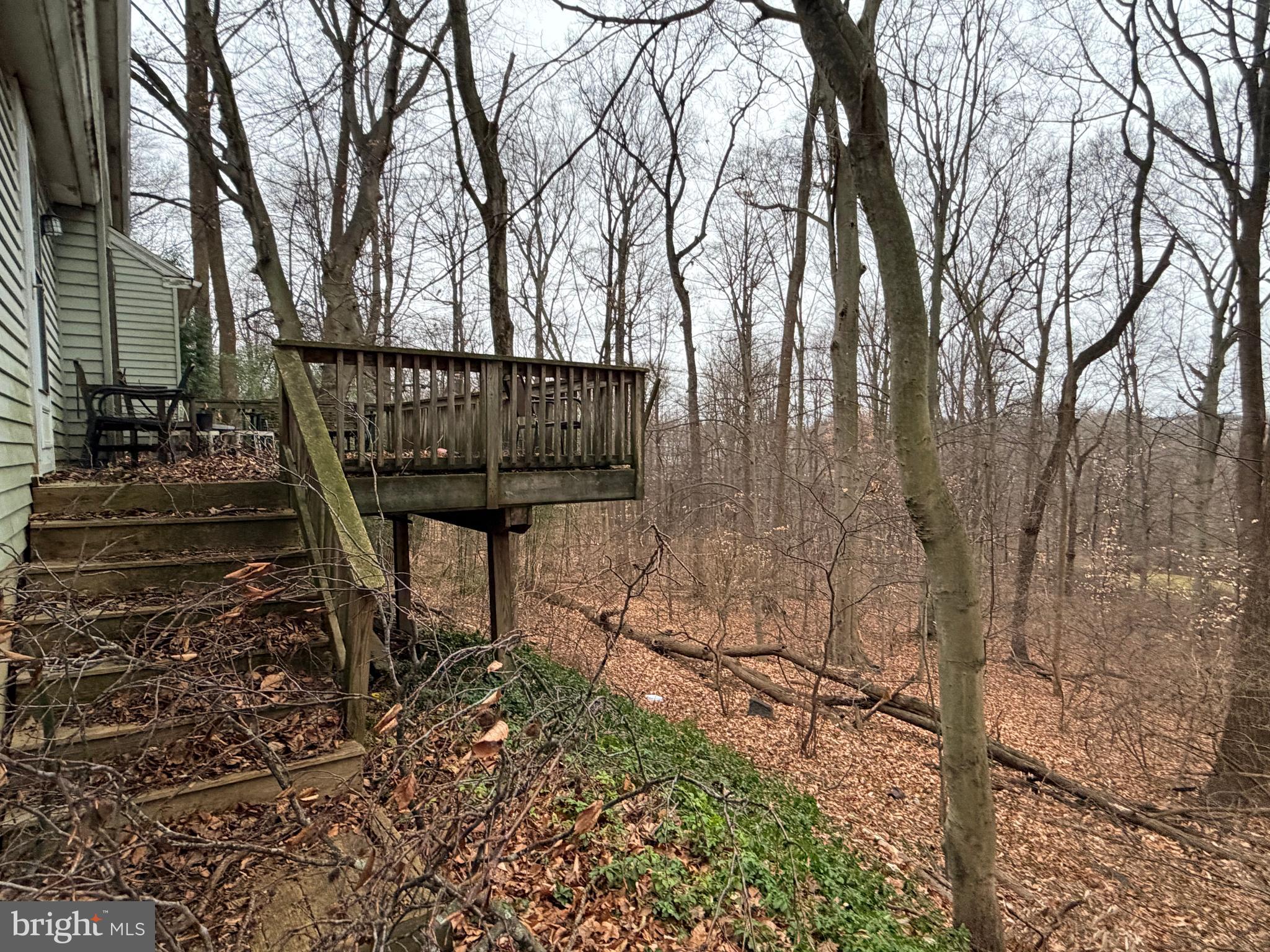 WILLISTOWN KNOLL - Residential