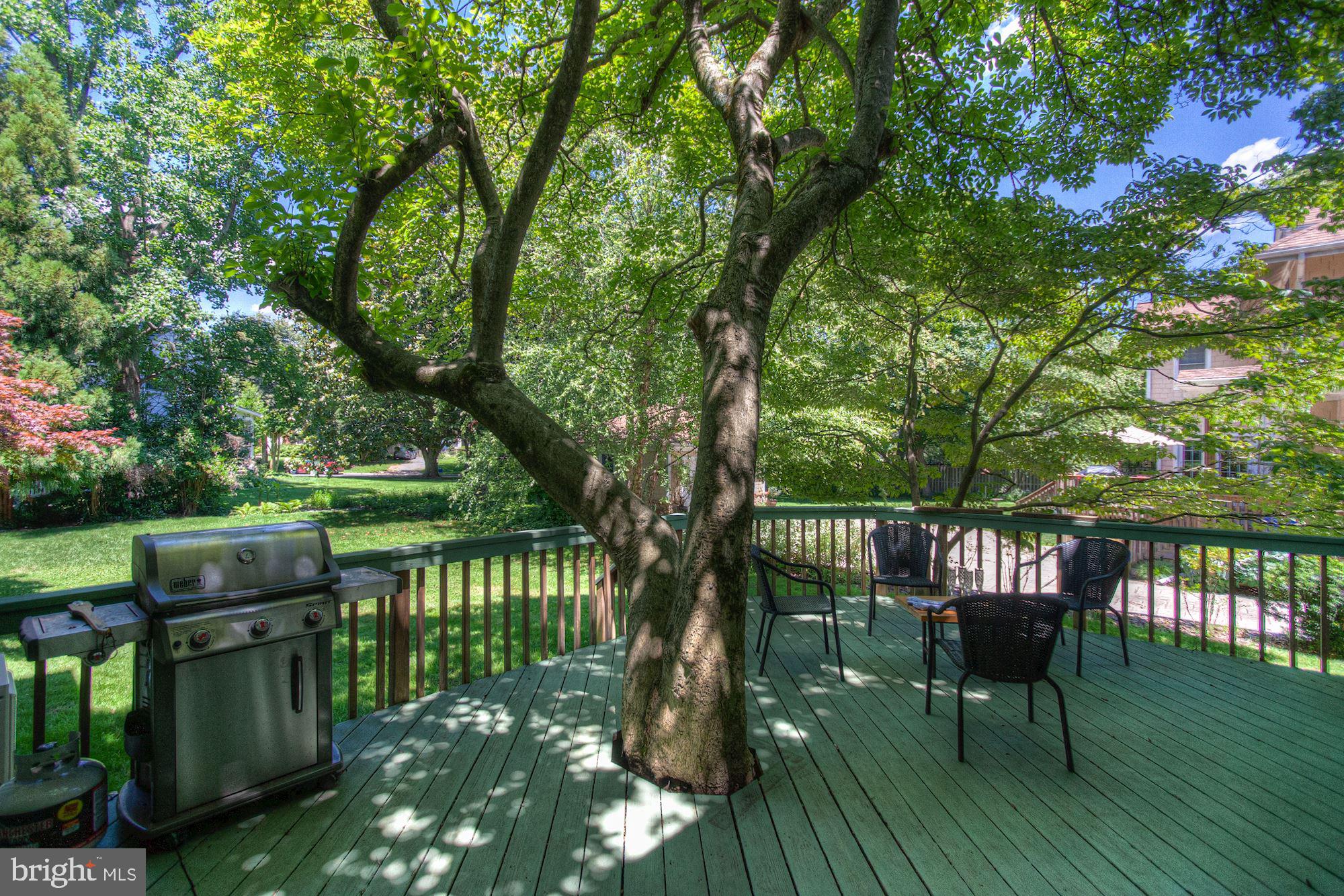 BATTERY PARK - Residential