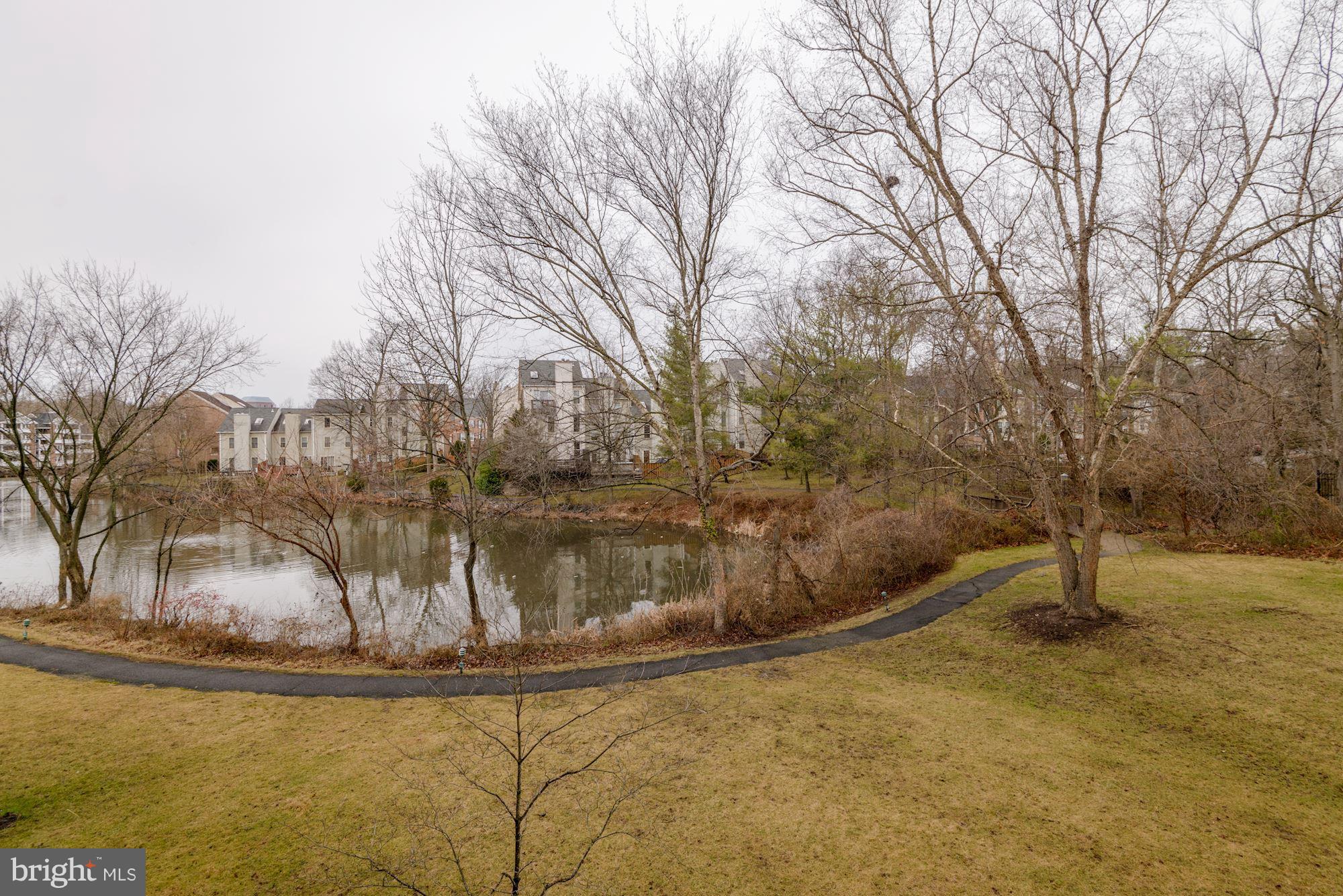 THE COVE - Residential