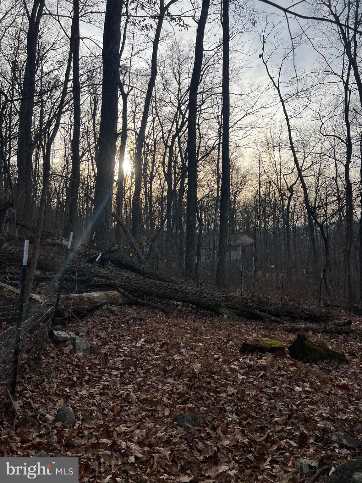 GLENWOOD FOREST - Residential