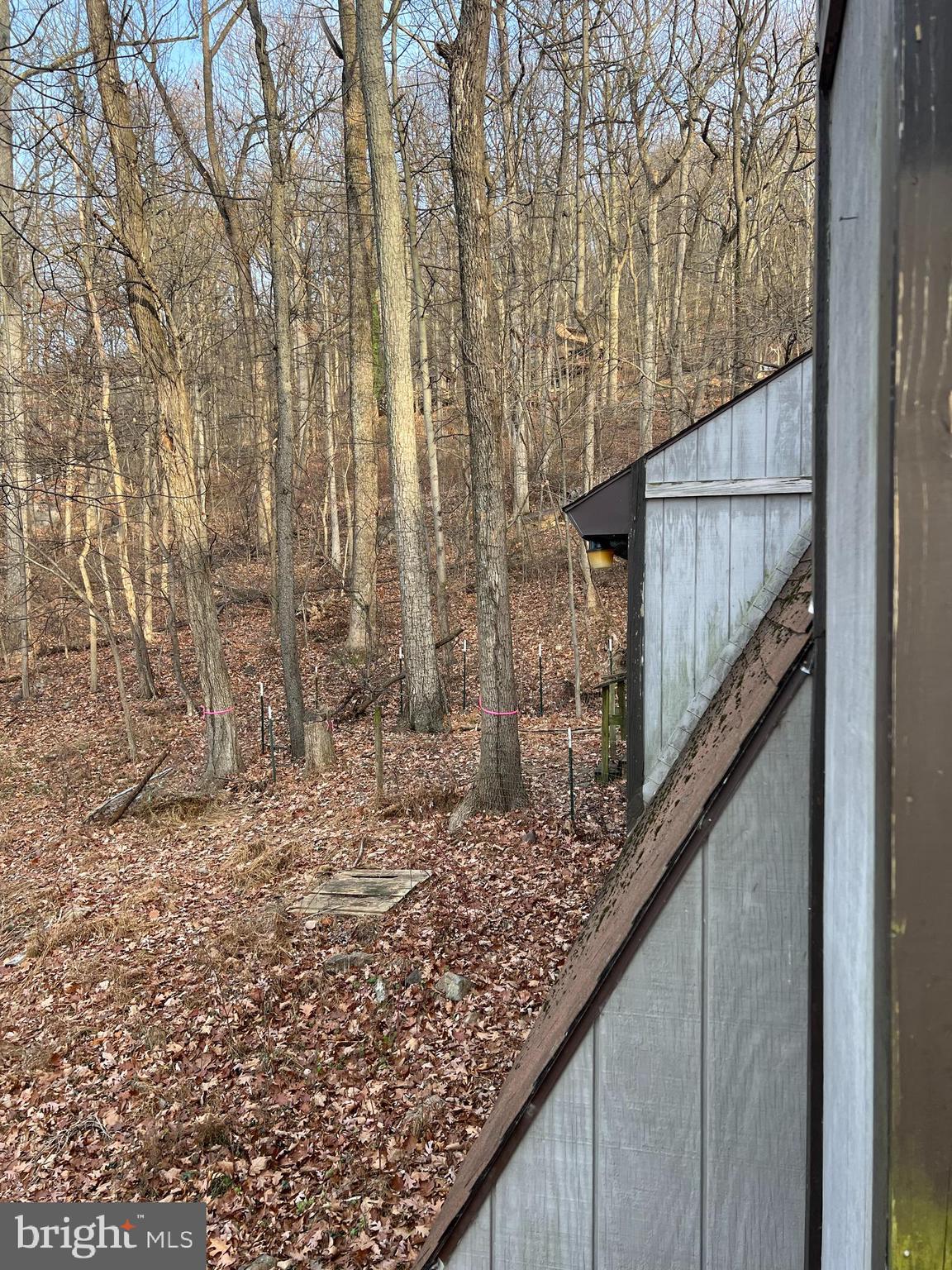 GLENWOOD FOREST - Residential