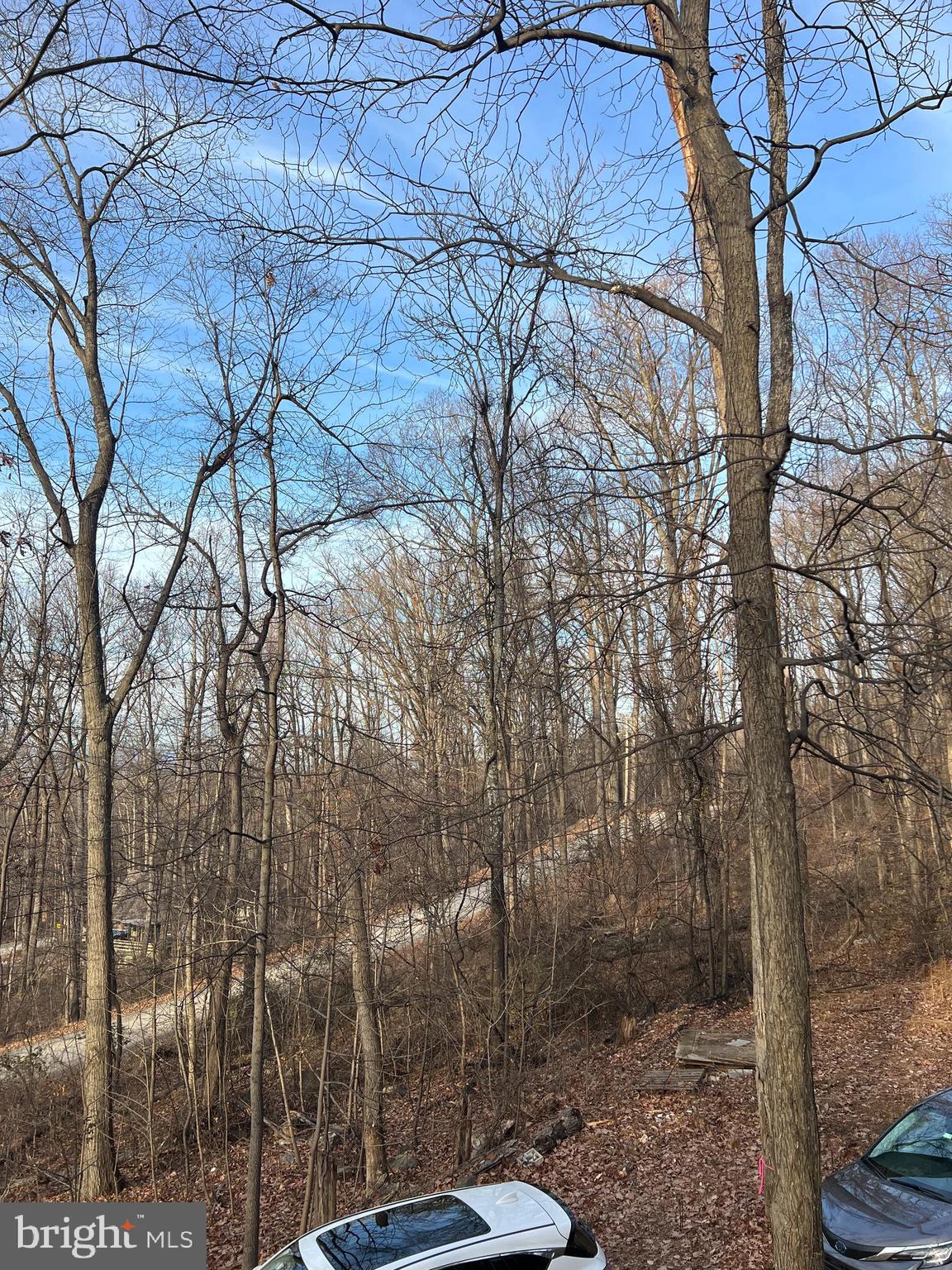 GLENWOOD FOREST - Residential