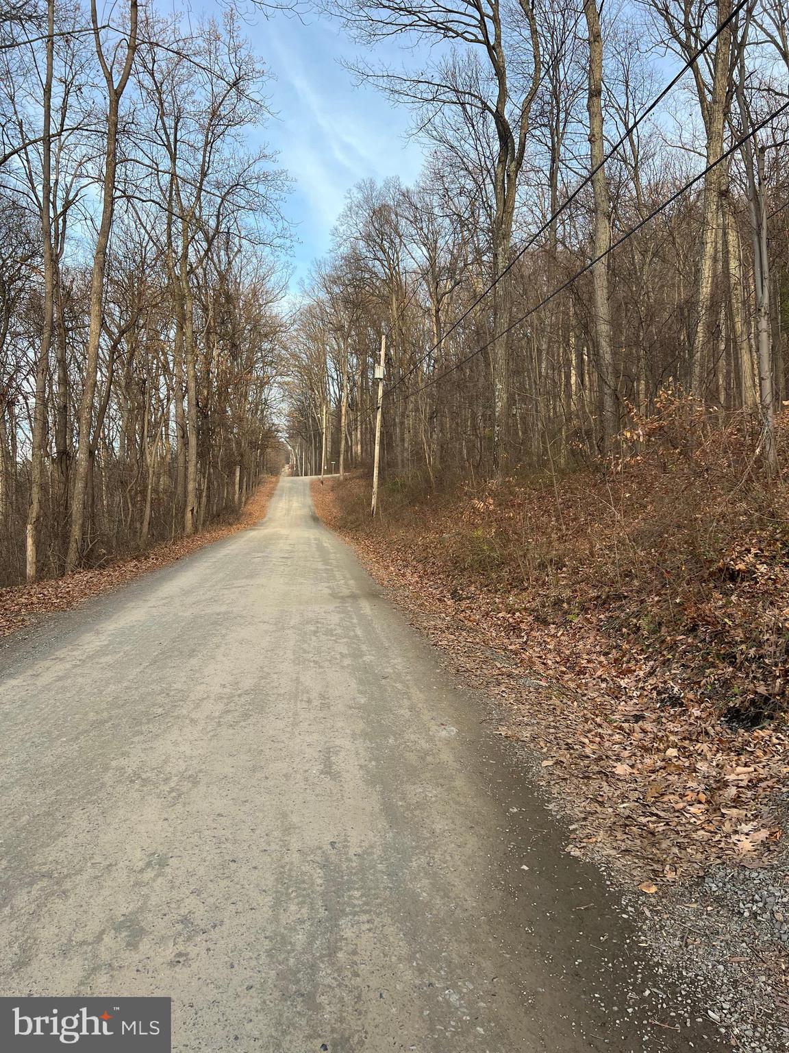 GLENWOOD FOREST - Residential