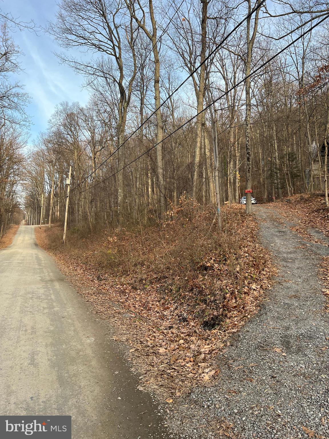 GLENWOOD FOREST - Residential