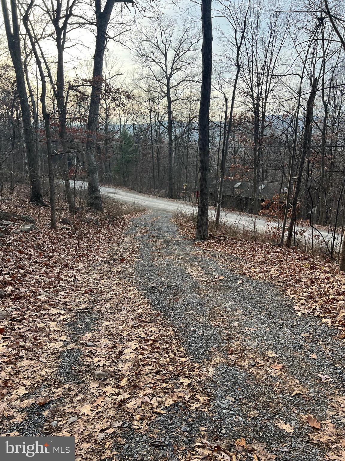 GLENWOOD FOREST - Residential