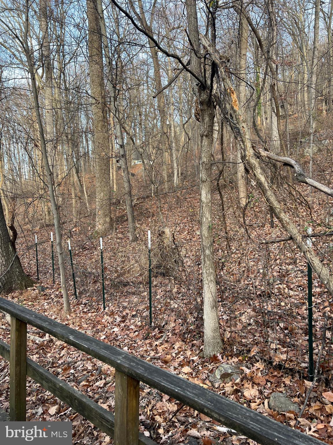 GLENWOOD FOREST - Residential