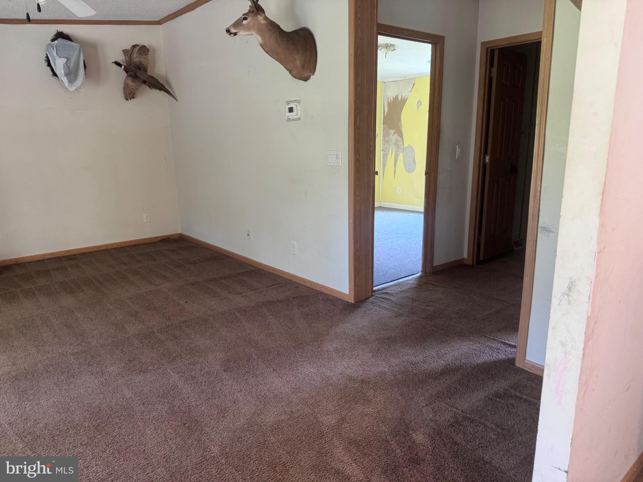 10804 BIG STONE ROAD
