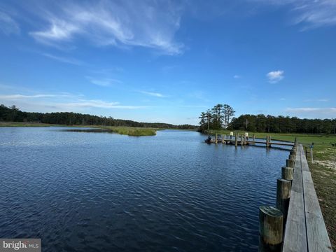 2707 CLARA ROAD TYASKIN MD 21865