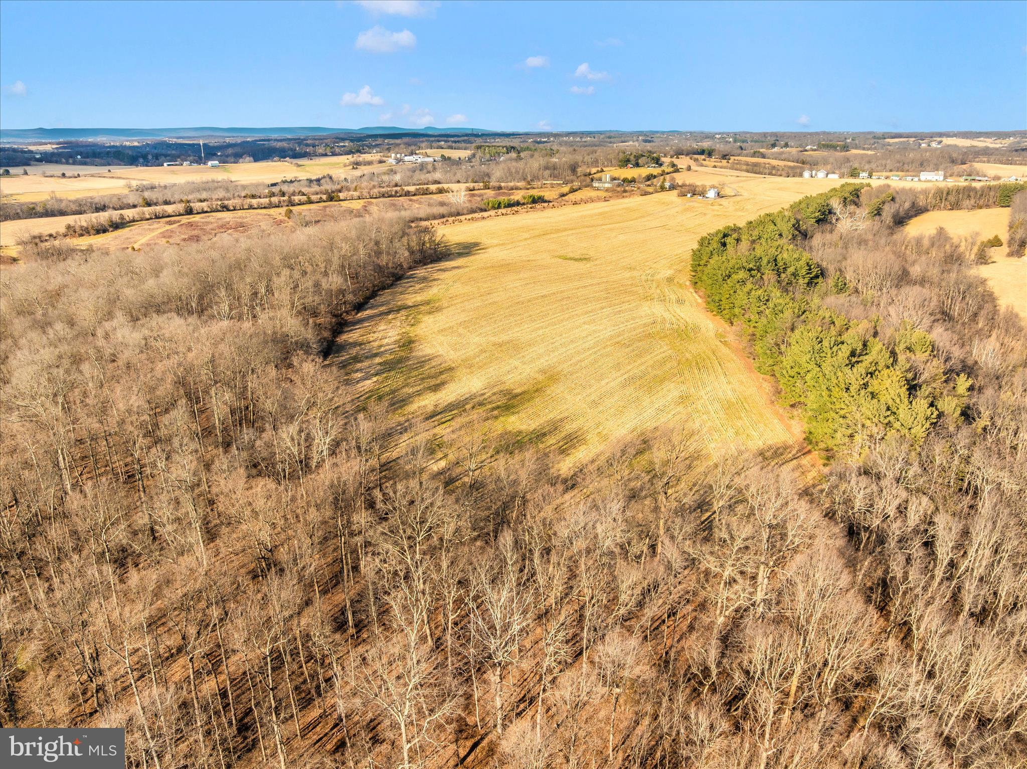 NONE AVAILABLE - Farm