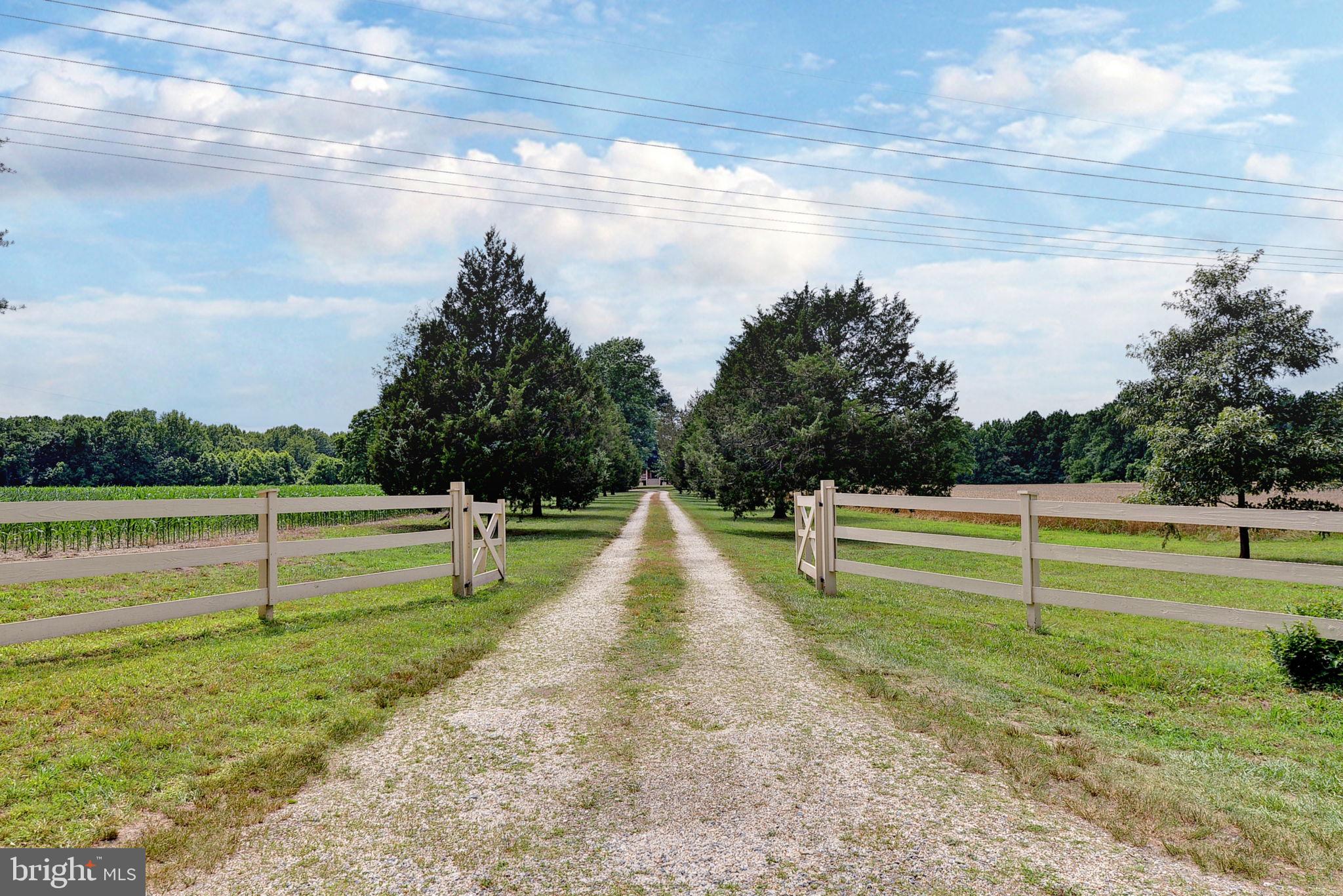 NONE AVAILABLE - Farm