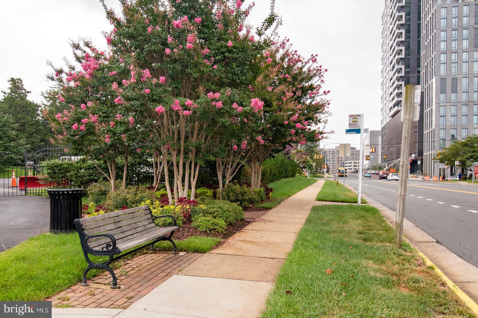 ROTONDA - Residential Lease